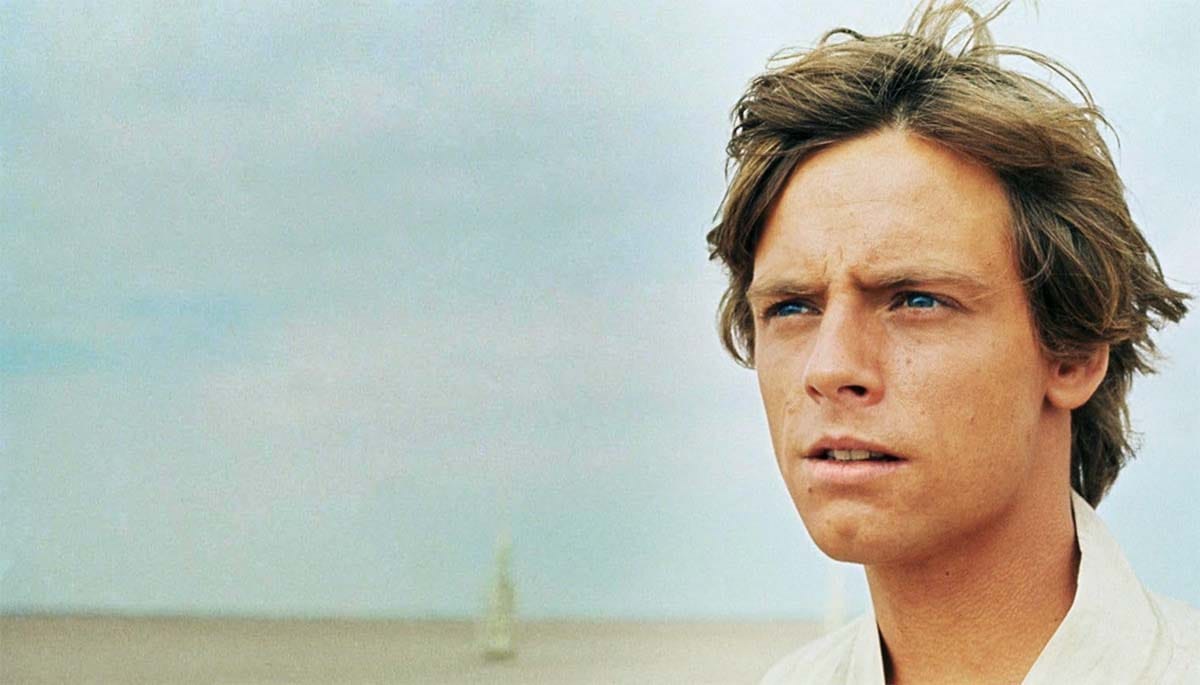 A still image of the Luke Skywalker character.