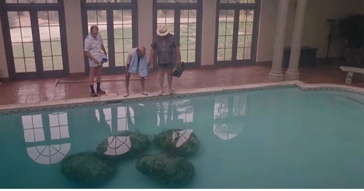 Three men observing four alien cocoons submerged in a swimming pool.