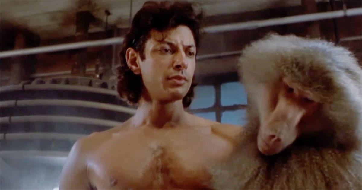 A scientist holds a baboon in his laboratory after a successful teleportation test.