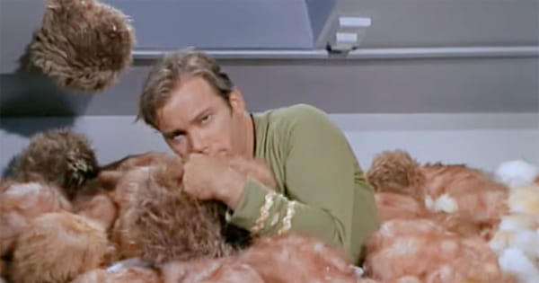 Captain Kirk buried in tribbles aboard the Enterprise in “The Trouble with Tribbles” episode of Star Trek.